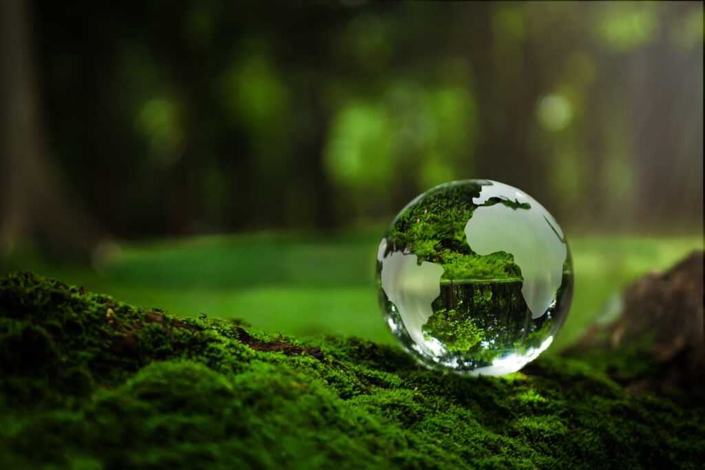 Zellis Group outlines commitment to ESG and sustainability in first ‘Impact Report’